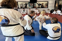 5b-little-tiger-board-breaks