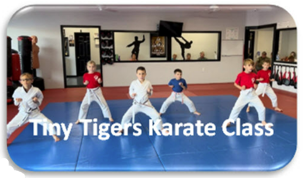 tiny tigers special offer